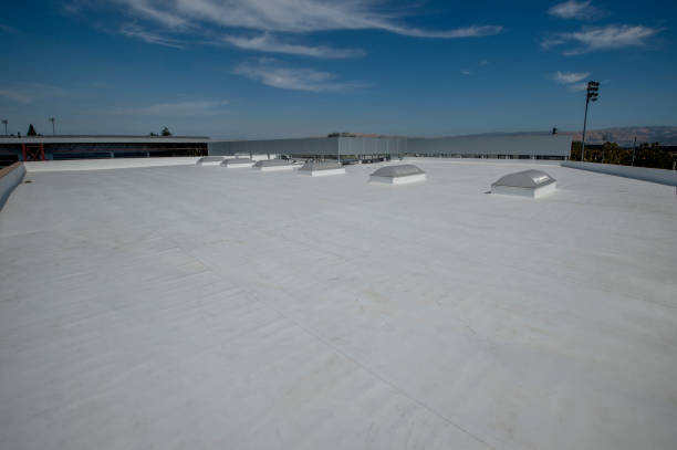 Best Storm Damage Roof Repair  in Davis Junction, IL